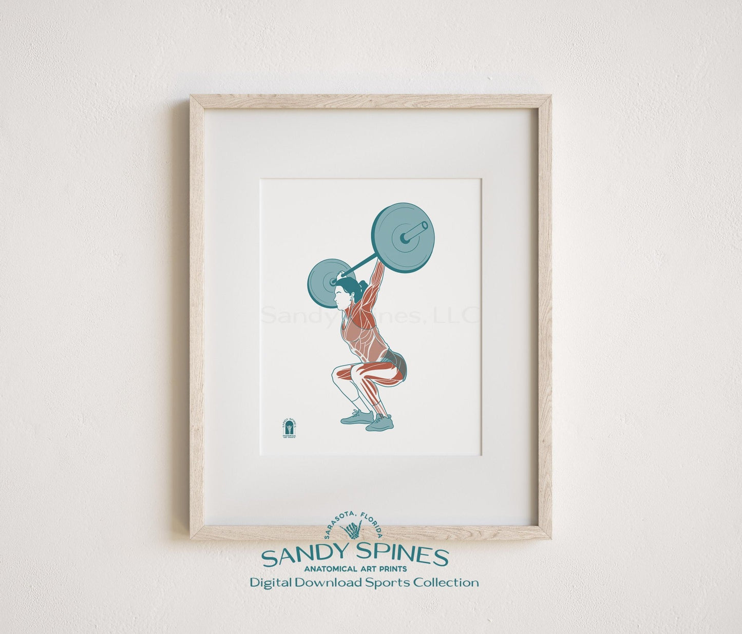 Fitness Anatomy Art Print – Female Lifter Sports Anatomy Download - SandySpines