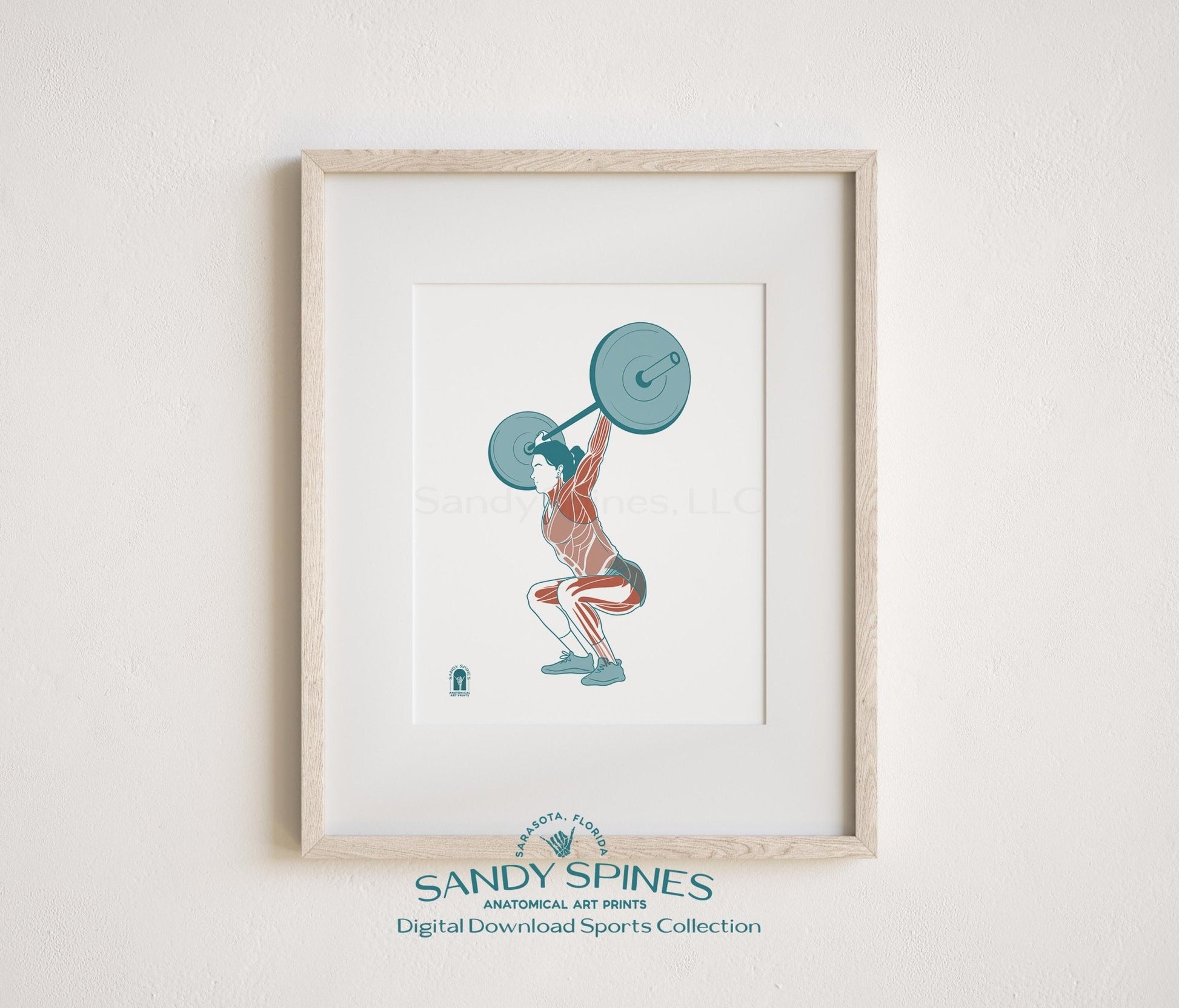 Fitness Anatomy Art Print – Female Lifter Sports Anatomy Download - SandySpines