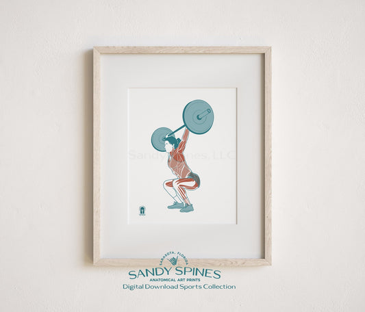 Fitness Anatomy Art Print – Female Lifter Sports Anatomy Download - SandySpines