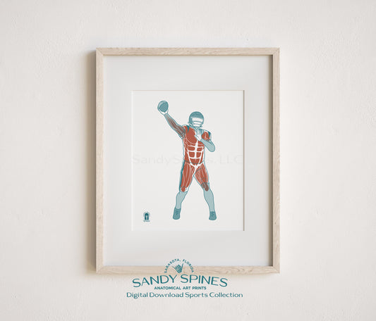 Anatomical illustration of a male football quarterback in throwing position, sports anatomy art print by SandySpines