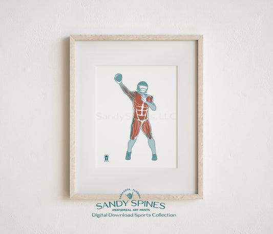 Football Quarterback Anatomy Art Print – Sports Anatomy Download - SandySpines