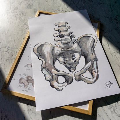 Grayscale Pelvis Print