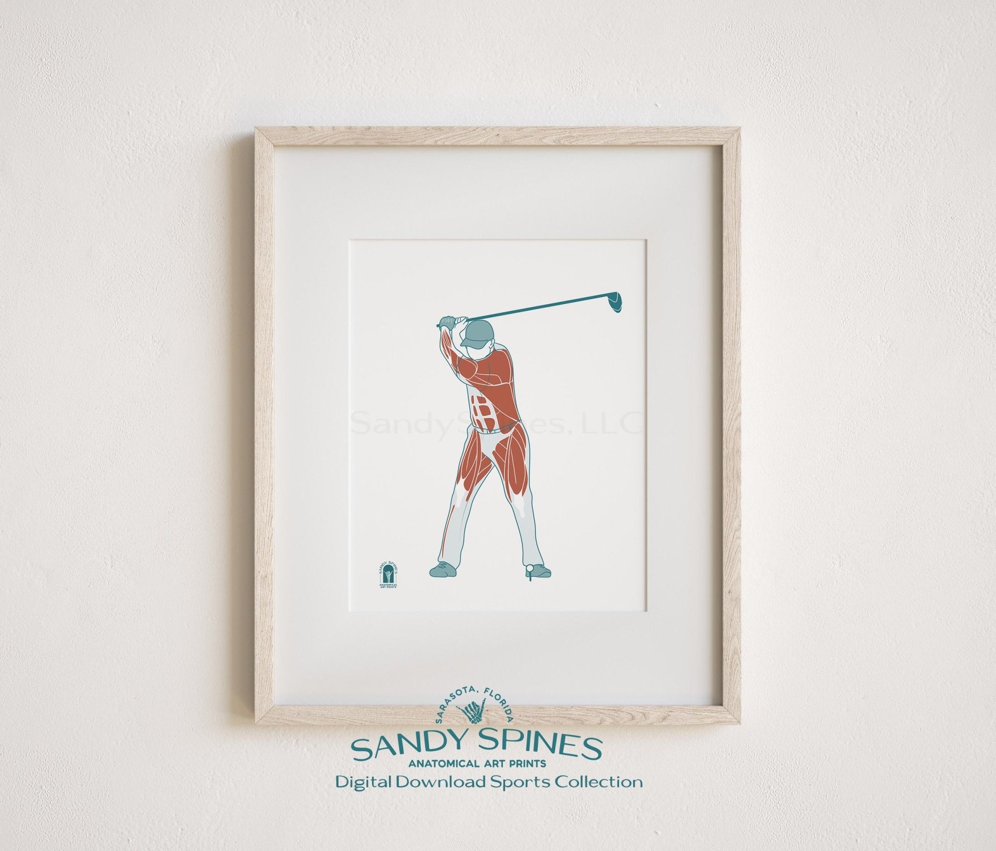 Golf Anatomy Art Print – Male Golfer Sports Anatomy Download - SandySpines