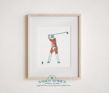 Golf Anatomy Art Print – Male Golfer Sports Anatomy Download - SandySpines