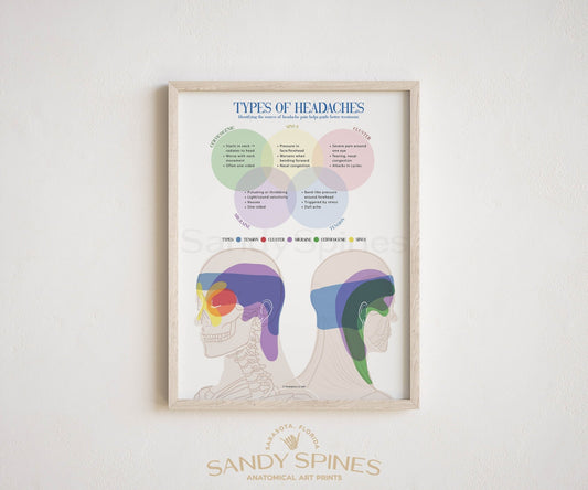 Headache Types Poster - SandySpines