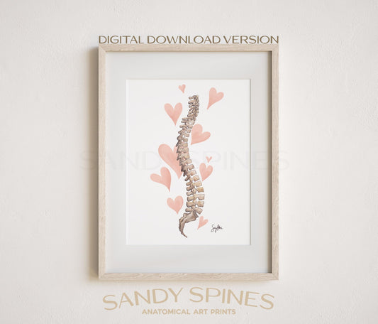 Heart Spine | DIGITAL DOWNLOAD only - SandySpines