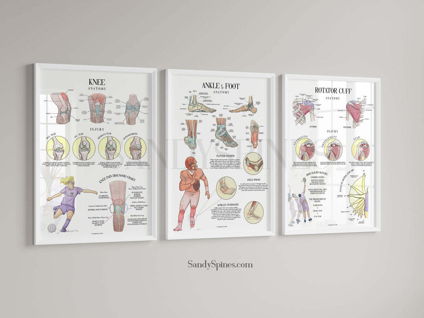 Ankle & Foot Injury Poster