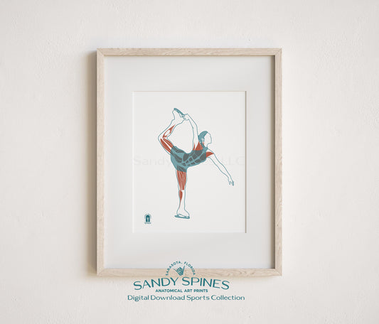 Anatomical illustration of a female figure skater mid-spin or in an arabesque position on ice, sports anatomy art print by SandySpines