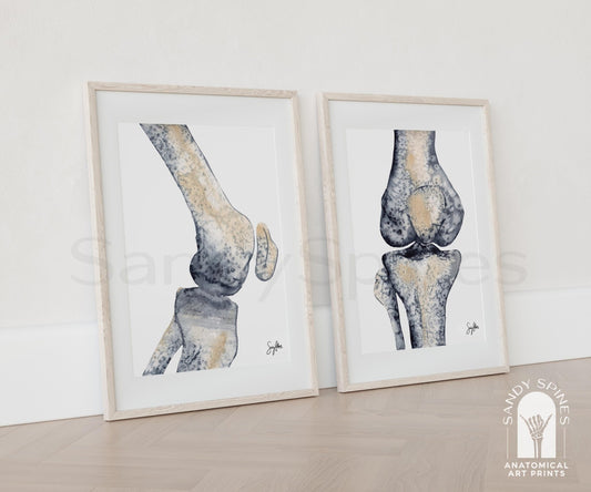Knee Radiograph Watercolor Set of Prints - SandySpines