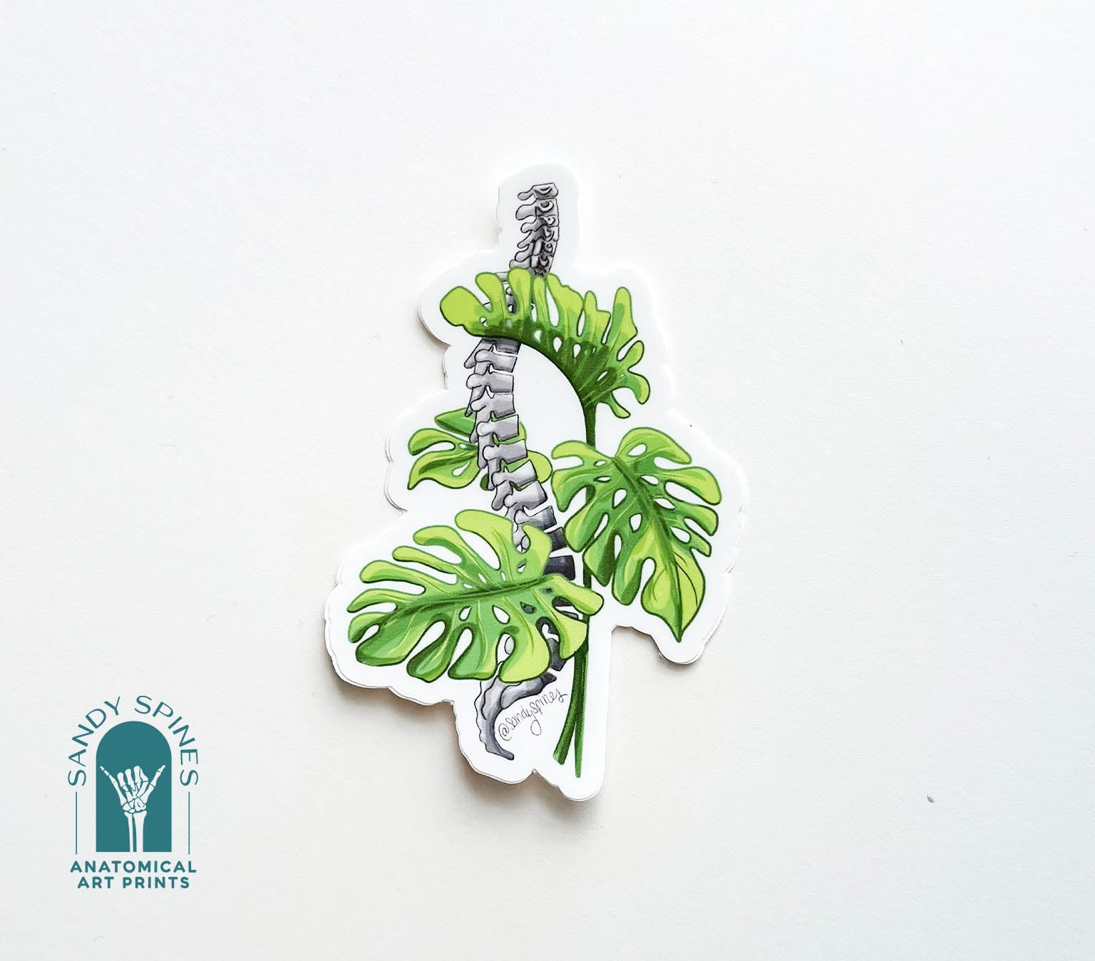 Monstera Spine Sticker - SandySpines