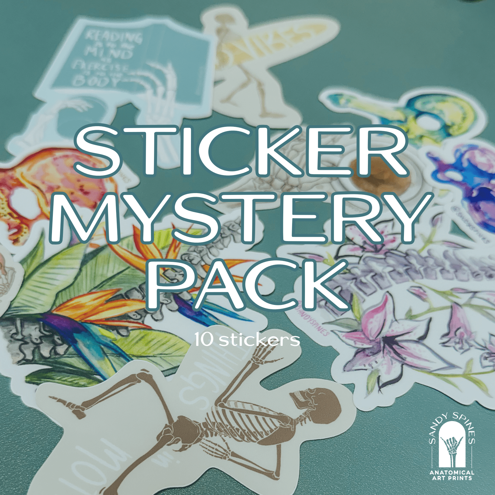 Mystery Sticker Pack ~ 10 Stickers - SandySpines