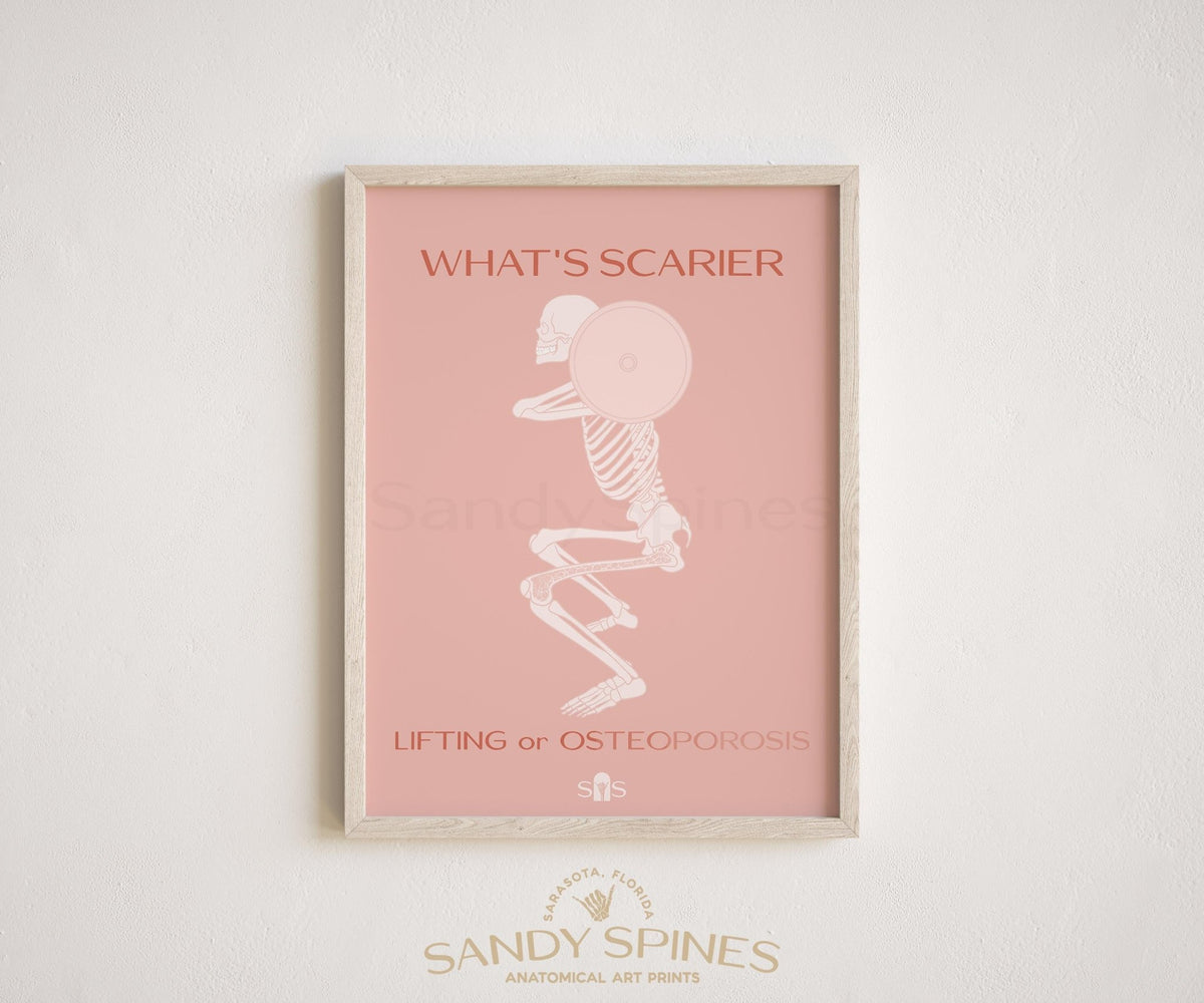 Osteoporosis Prevention Poster - SandySpines