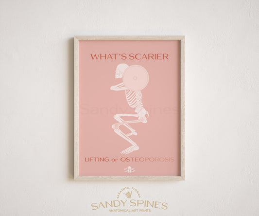 Osteoporosis Prevention Poster - SandySpines