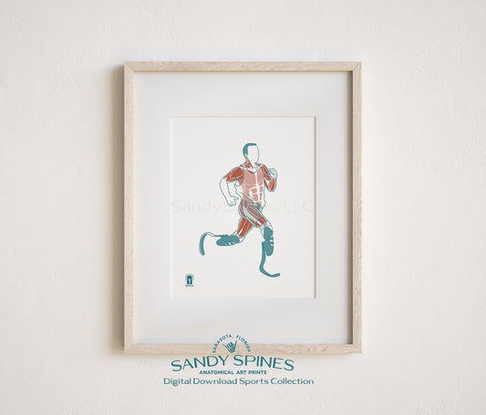 Paralympic Runner Anatomy Art Print – Running Blades Sports Anatomy Download - SandySpines