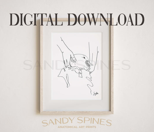 Pediatric Adjusting Line Art 2 | DIGITAL DOWNLOAD only - SandySpines