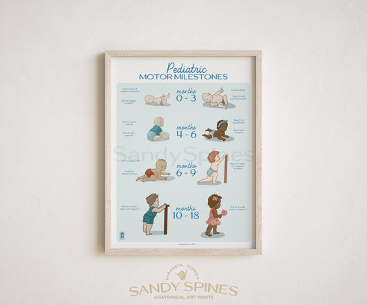 Pediatric Developmental Milestones Poster 2026 - SandySpines