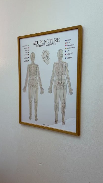 Acupuncture Chart I