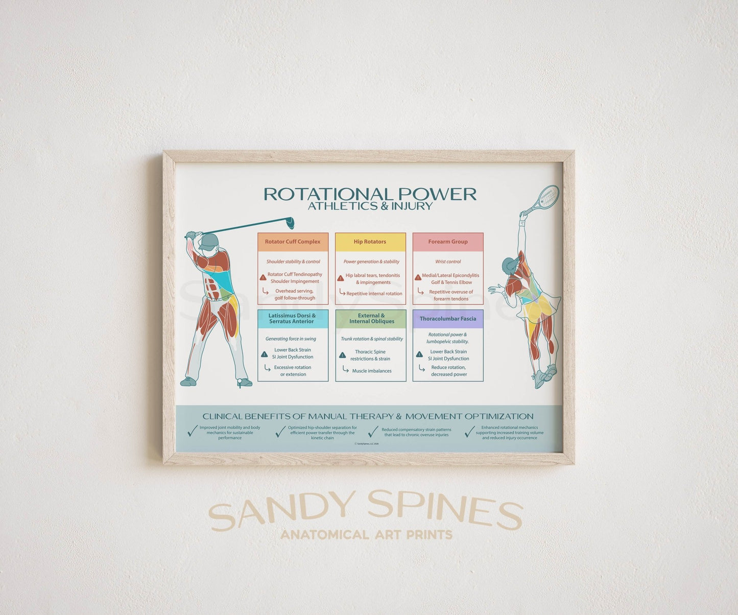 Rotational Athletics and Injury Poster | Tennis & Golf - SandySpines