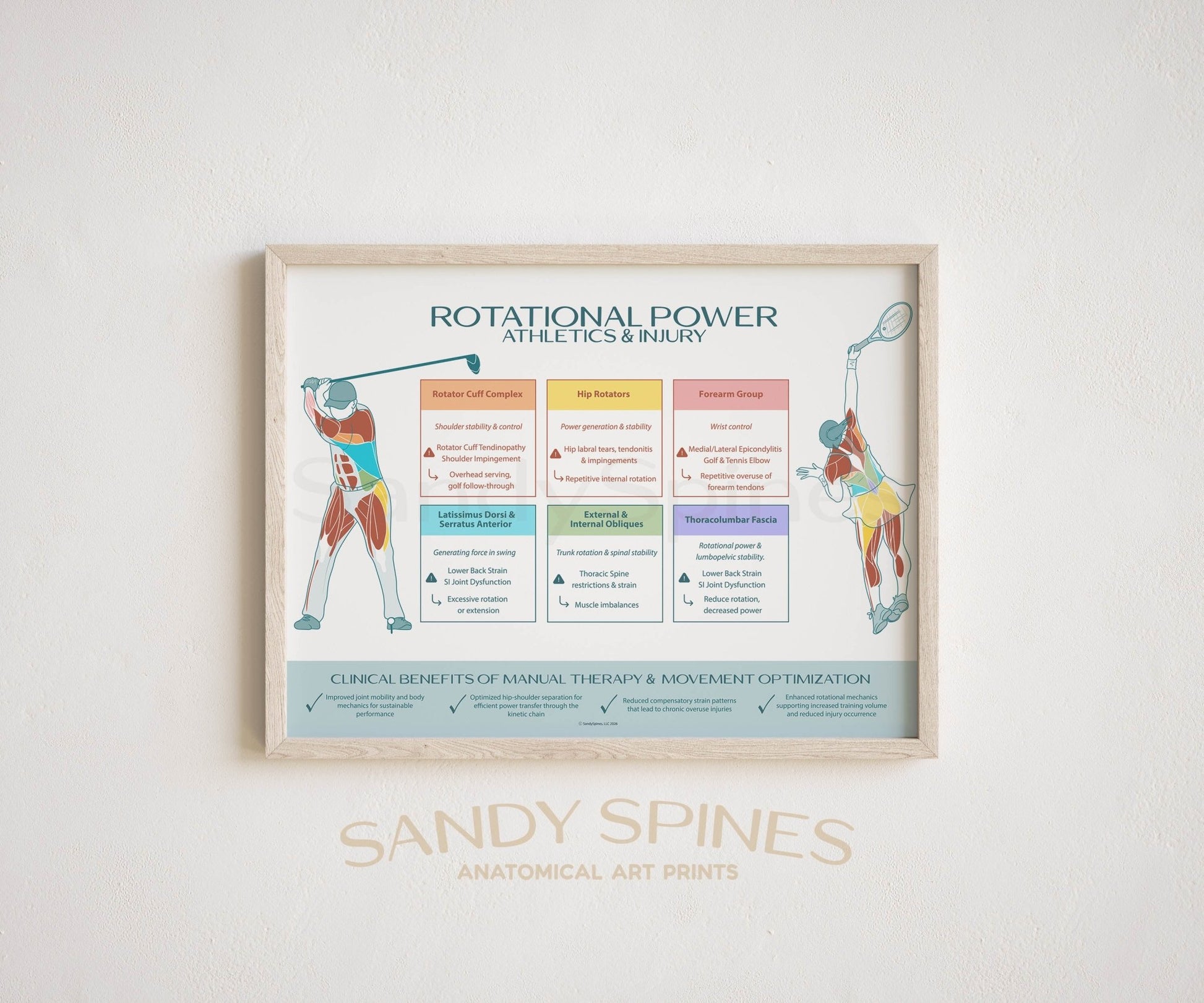 Rotational Athletics and Injury Poster | Tennis & Golf - SandySpines