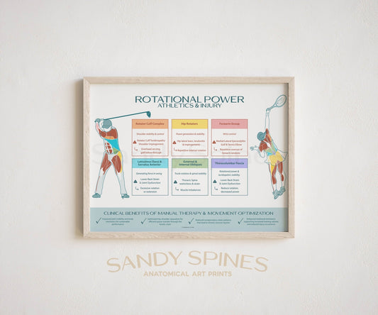 Rotational Athletics and Injury Poster | Tennis & Golf - SandySpines