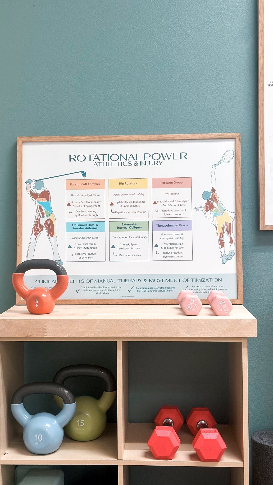 Rotational Athletics and Injury Poster | Tennis & Golf - SandySpines