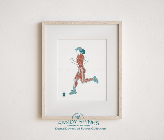 Running Anatomy Art Print – Female Runner Sports Anatomy Download - SandySpines