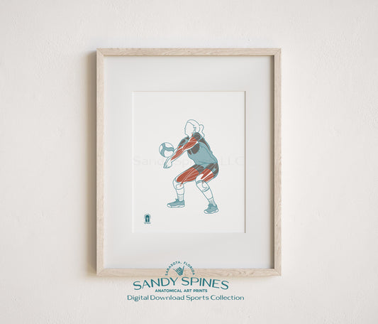 Anatomical illustration of a female volleyball setter in a setting position, sports anatomy art print by SandySpines
