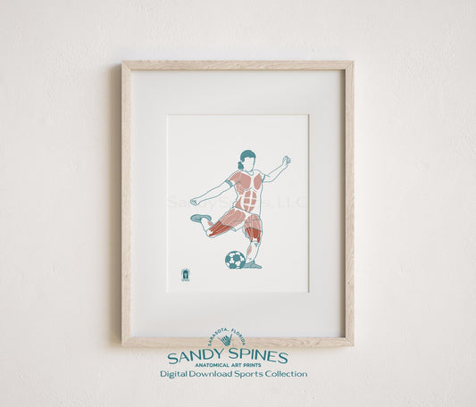 Soccer Anatomy Art Print – Female Soccer Football Futbol Sports Anatomy Download - SandySpines