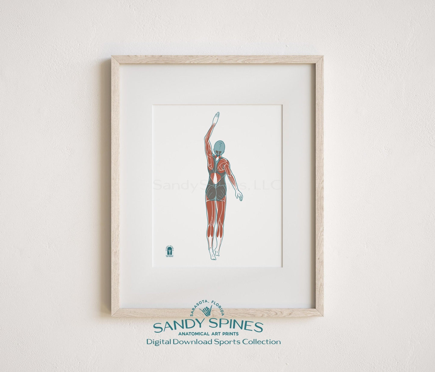 Swimming Anatomy Art Print – Female Swimmer Sports Anatomy Download - SandySpines