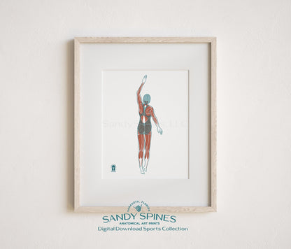 Swimming Anatomy Art Print – Female Swimmer Sports Anatomy Download - SandySpines