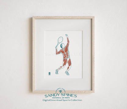 Tennis Anatomy Art Print – Male Athlete Sports Anatomy Download - SandySpines