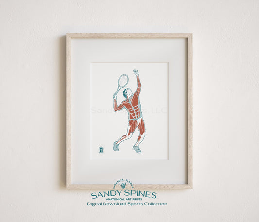 Tennis Anatomy Art Print – Male Athlete Sports Anatomy Download - SandySpines