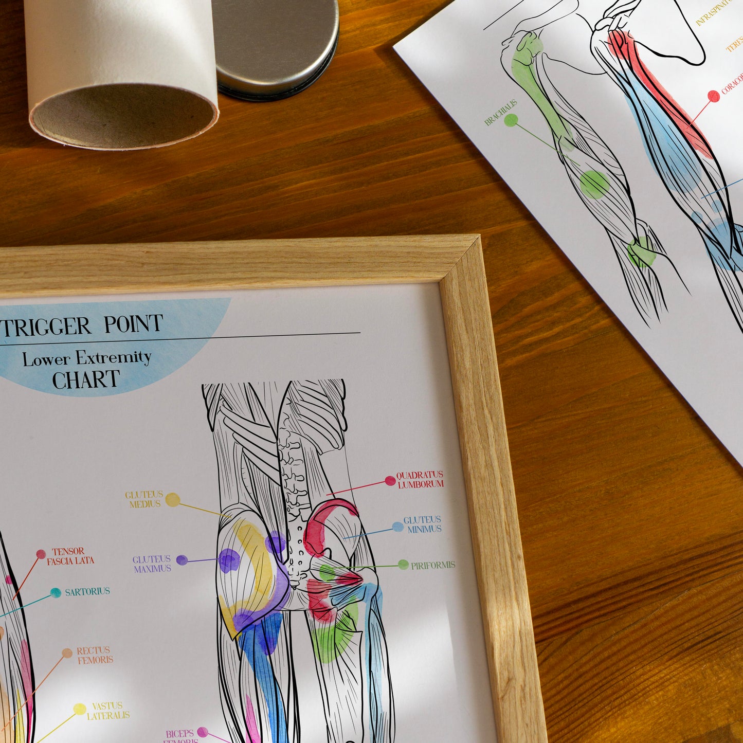 Trigger Point Charts | Set of 3 Posters