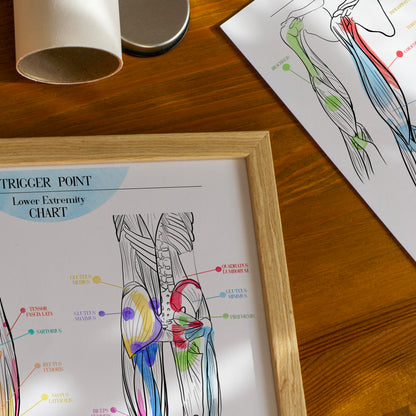 Trigger Point Charts | Set of 3 Posters