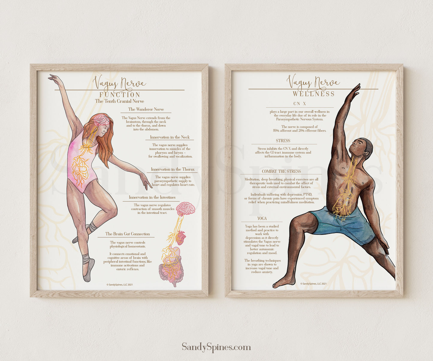 Vagus Nerve Posters Bundle | Function and Wellness