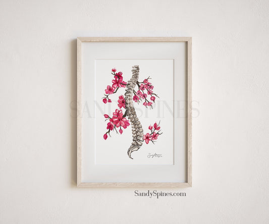 Blossom Again - SandySpines