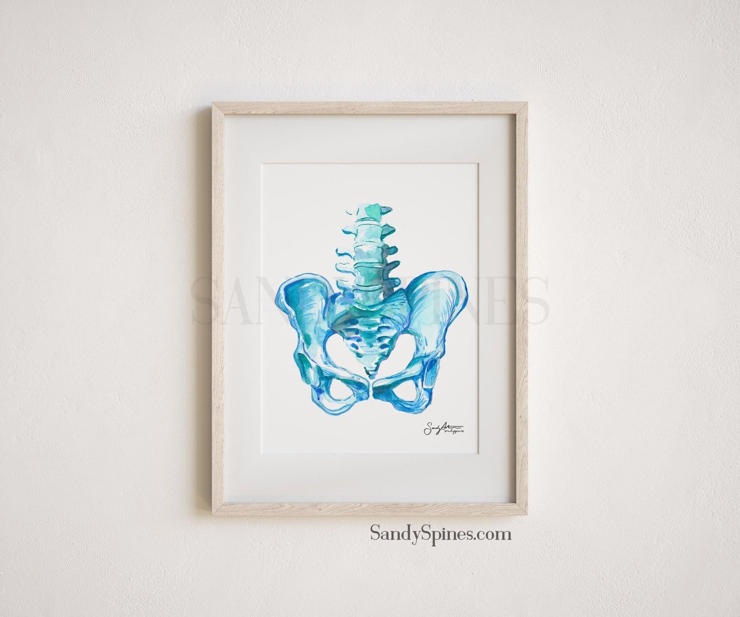 Blue Pelvis Print - SandySpines