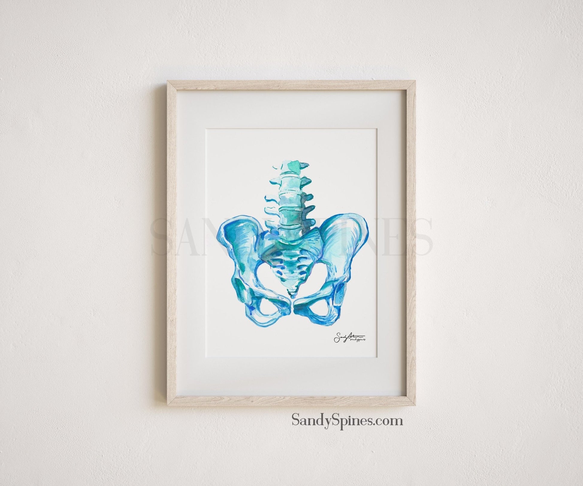 Blue Pelvis Print - SandySpines