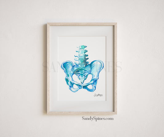 Blue Pelvis Print - SandySpines