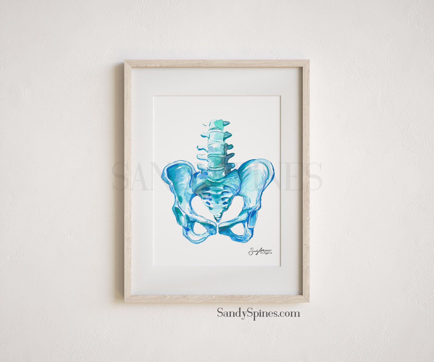 Blue Pelvis Print