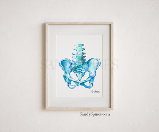 Blue Pelvis Print