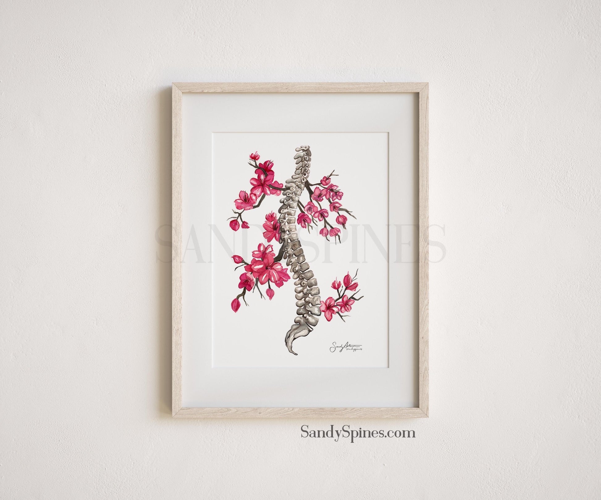 Original Artwork by Dr Sandy Arthur; Hand drawn spinal column with blossoms illustrated in watercolor attached