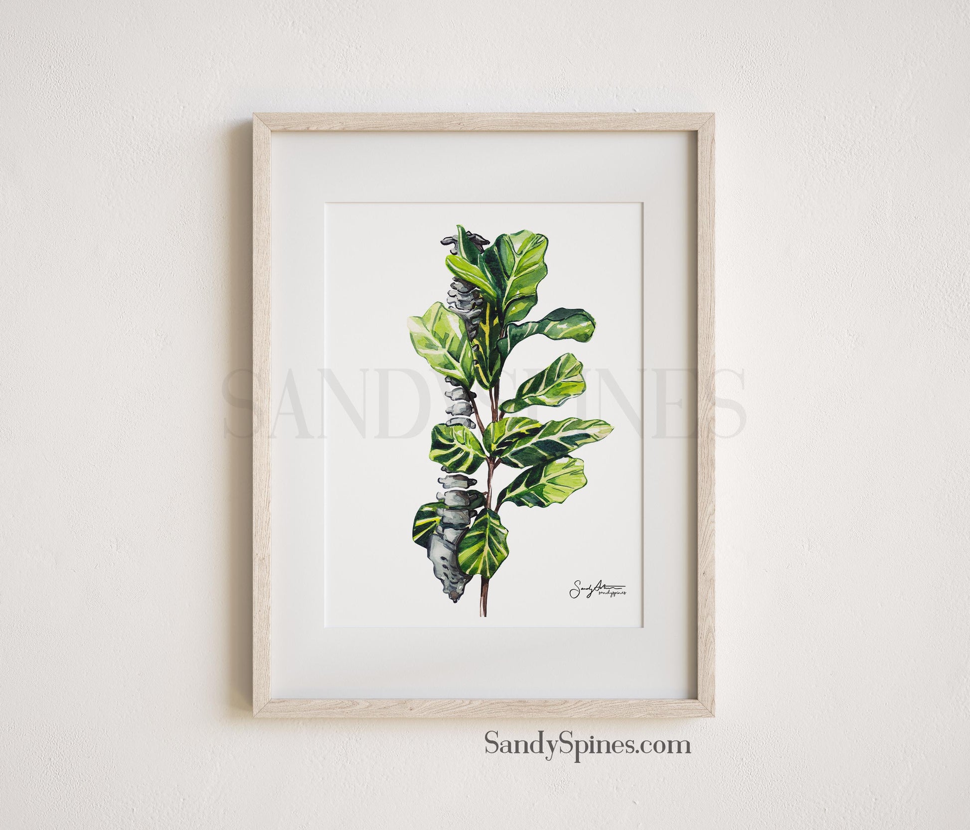 fiddle leaf fig spine print watercolor