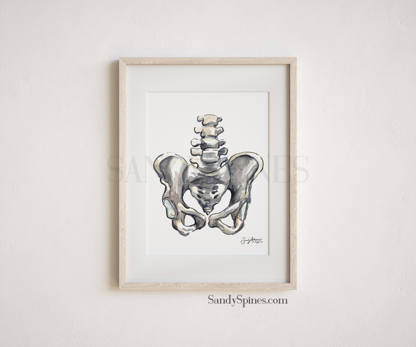 Grayscale Pelvis Print - SandySpines