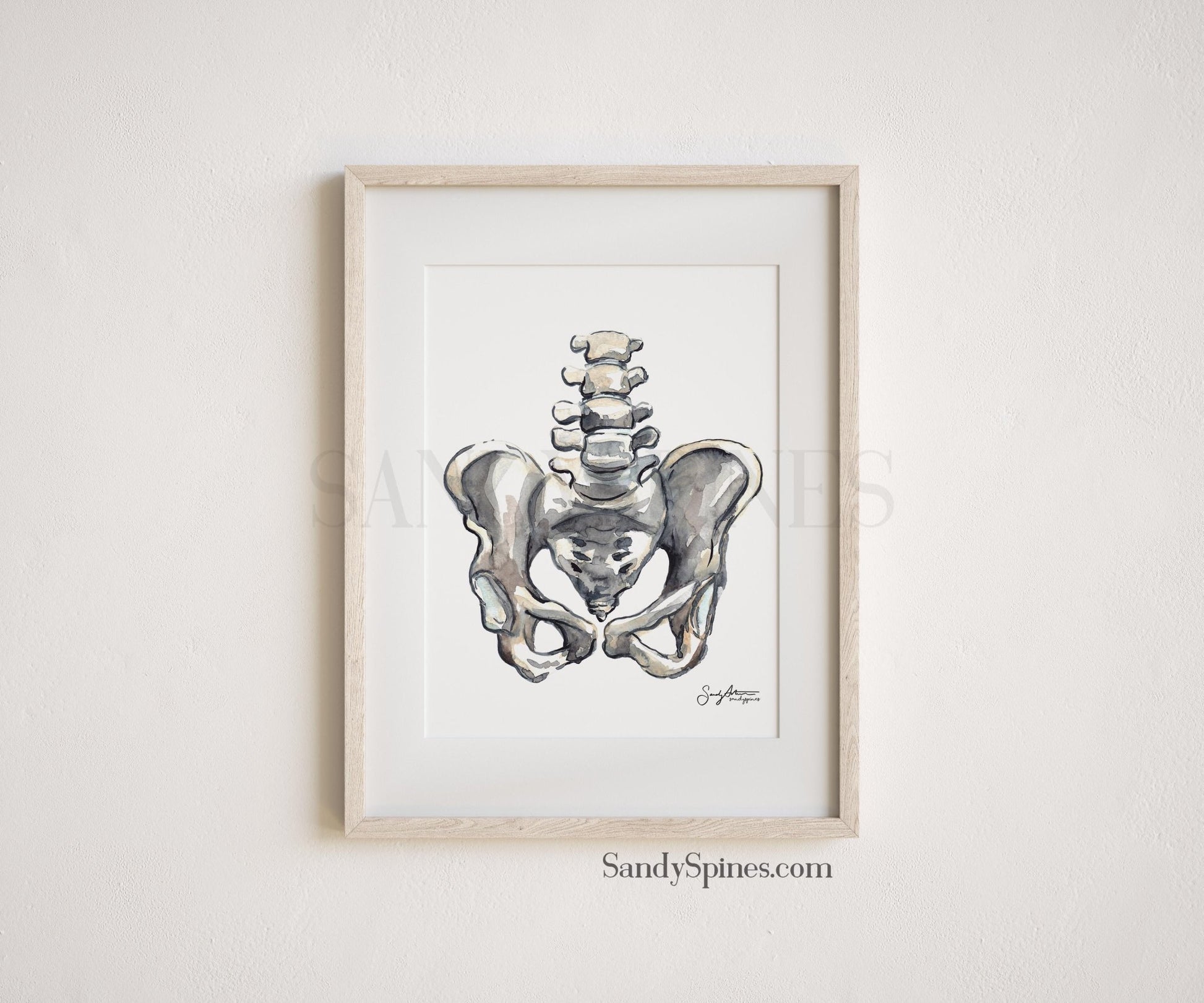 Grayscale Pelvis Print - SandySpines