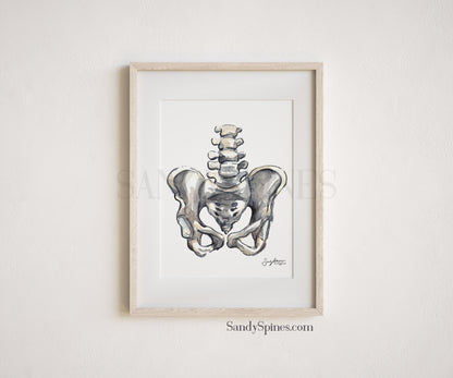 Grayscale Pelvis Print - SandySpines