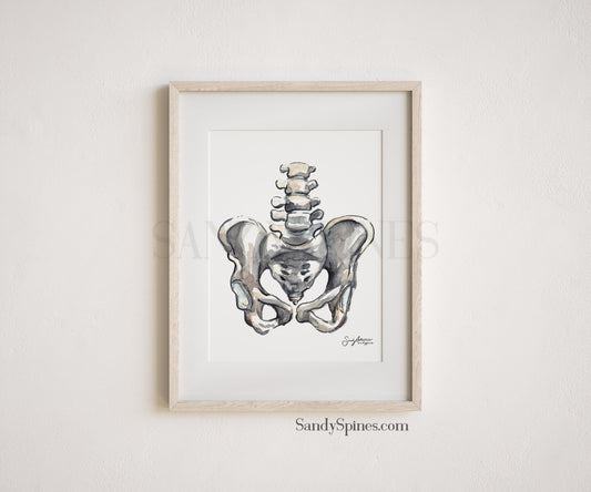 Grayscale Pelvis Print - SandySpines