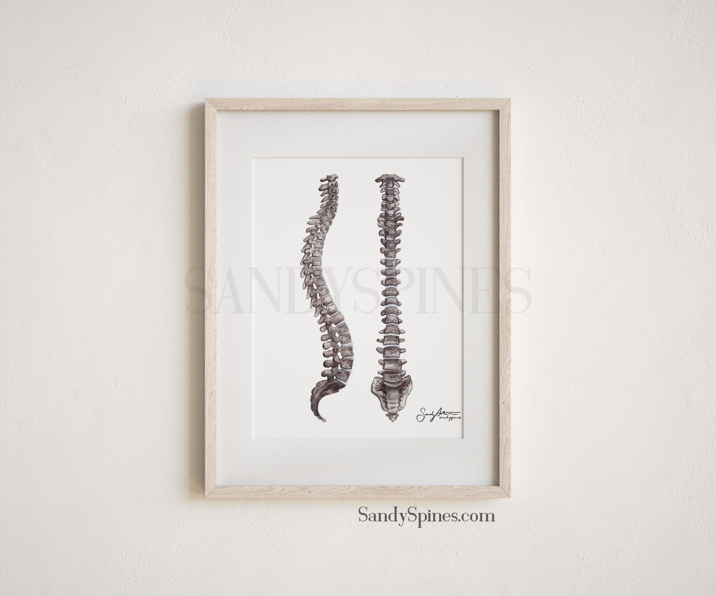 Grayscale Spines Print - SandySpines