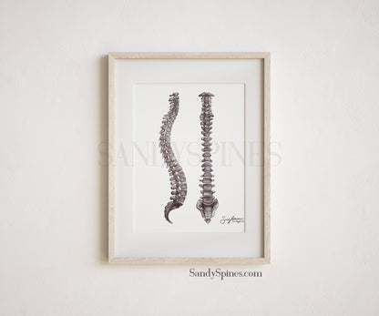 Grayscale Spines Print - SandySpines