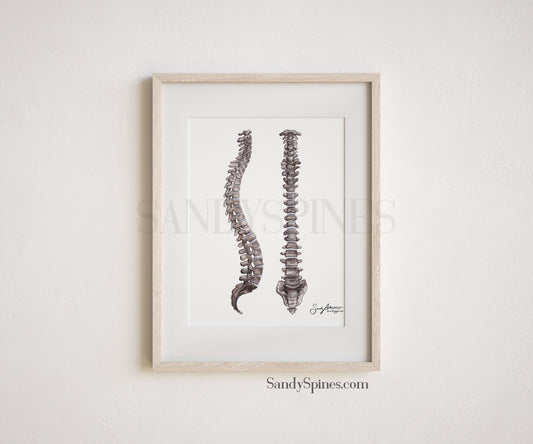 Grayscale Spines Print - SandySpines